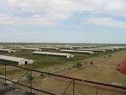 Фермерское хозяйство, животноводческий комплекс в Уштобе